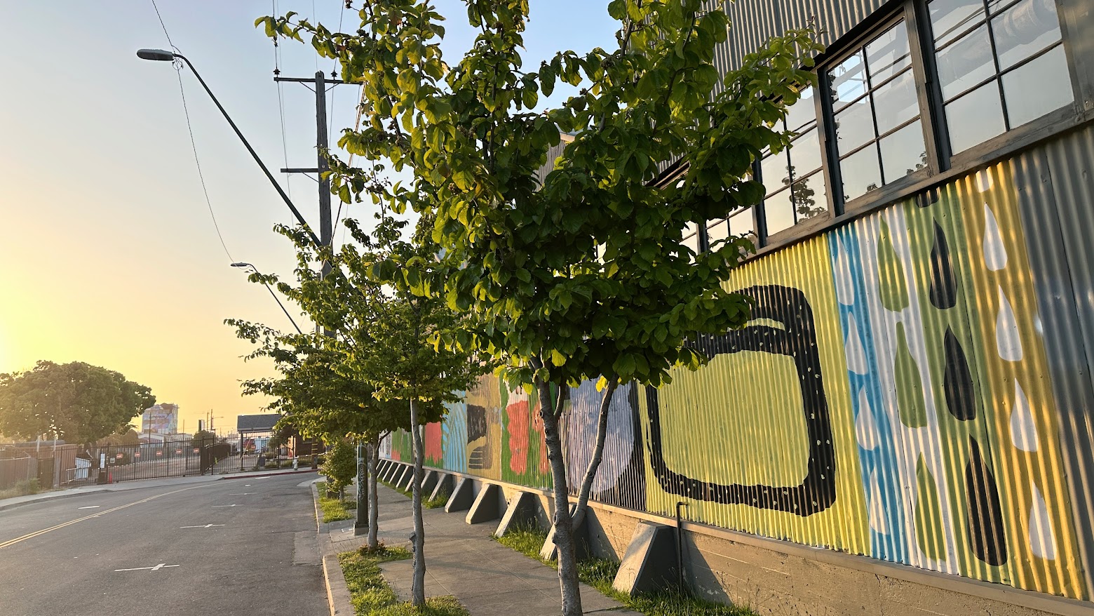 side wide trees